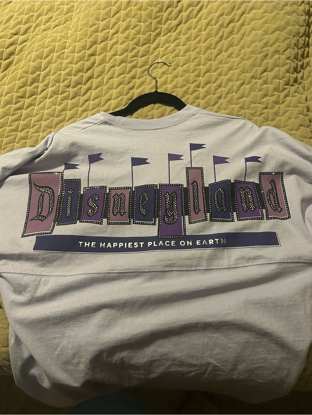 Disney Lavender and Purple Disneyland Graphic Long Sleeve Tee